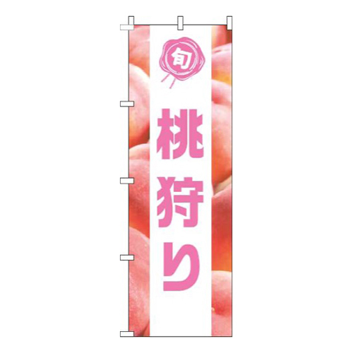 桃狩り写真白帯画像