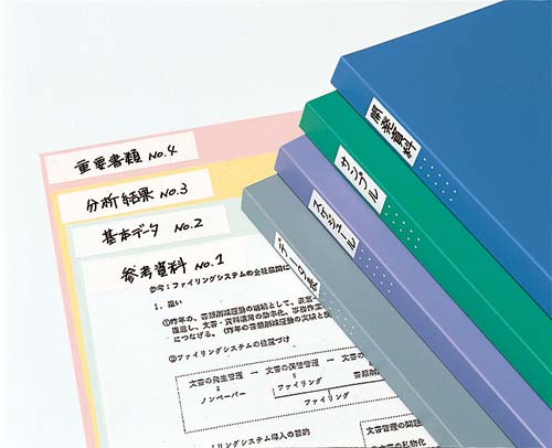 タックタイトルはがせるタイプ無地　１９×８０ｍｍ画像
