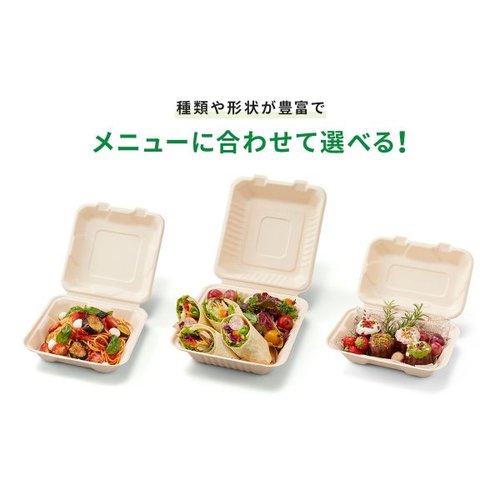 弁当容器 BBランチ 240-150-2 パックスタイル 透明なプラスチックに包まれた、蓋付きの弁当容器が横向きに並んでいる様子