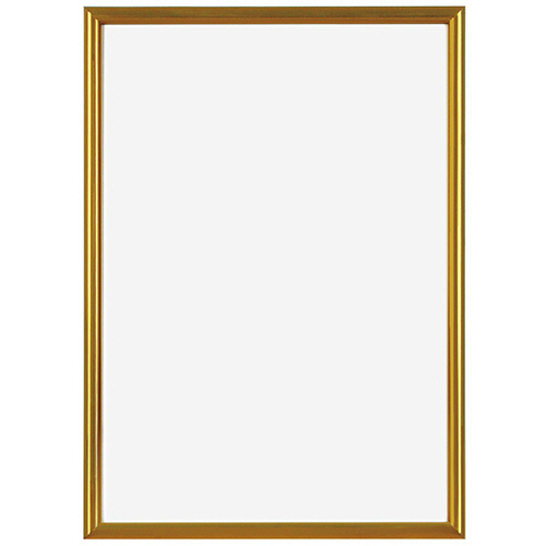 ﾆｭｰﾗｲﾄﾌﾚｰﾑ 350×490mm ｺﾞｰﾙﾄﾞ 1枚画像