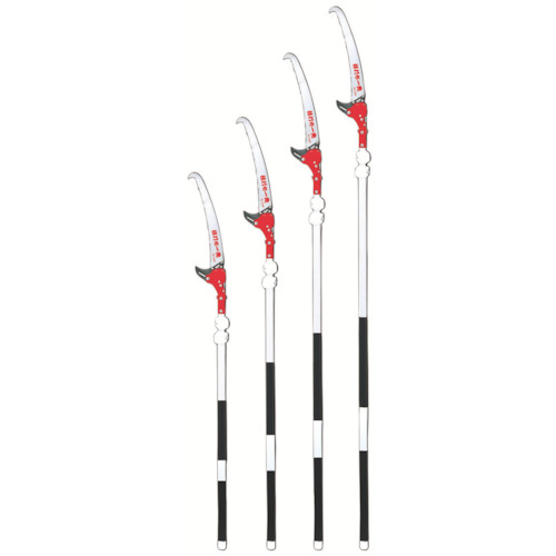 枝打ち一発 4m 1個画像