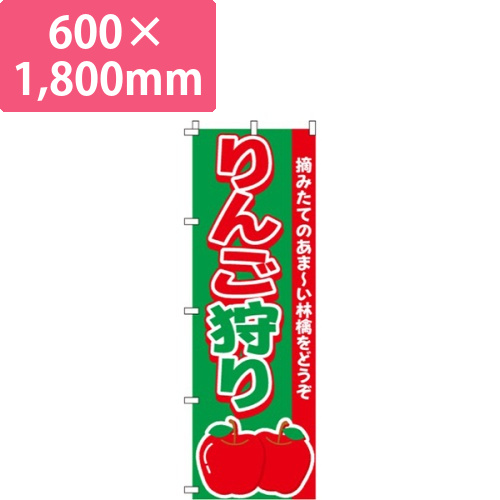 りんご狩りあま～い林檎画像