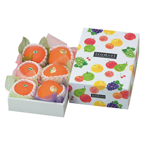 いろどりパレット（ミニ）画像