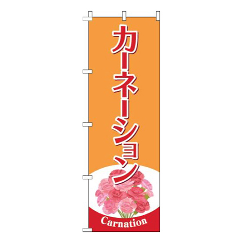 カーネーションオレンジ画像