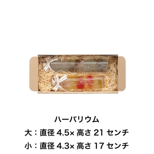 ギフト箱 無地スマートボックス クラフト-11(10枚) ヘッズ 無地のクラフトカラーで整然と並ぶパッケージのセット