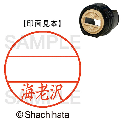 ﾃﾞｰﾀｰﾈｰﾑEX12号 ﾏｽﾀｰ部(印面) 既製 海老沢 1個画像