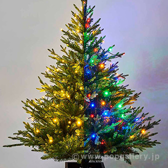 LEDカラーチェンジライト（ゴールド/ミックス）画像