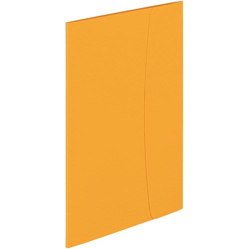 ｸﾘｱｰﾌﾞｯｸ(ﾋﾞｼﾞｶﾙ) A4ﾀﾃ 10ﾎﾟｹｯﾄ 背幅4mm ｲｴﾛｰ 1冊画像