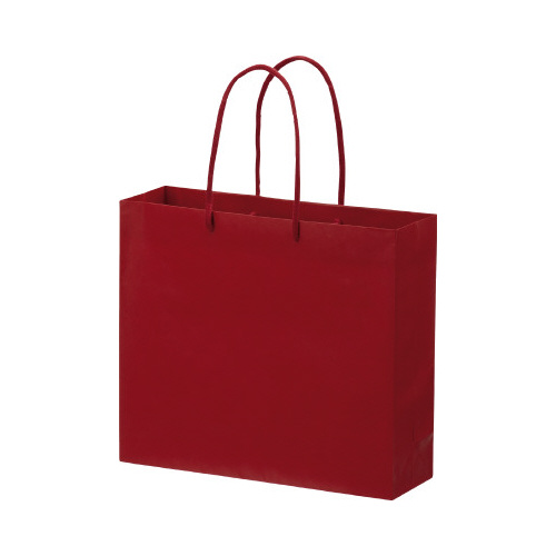 ペーパーバッグＭＬ赤１０枚入画像