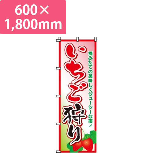 いちご狩り（苺）画像
