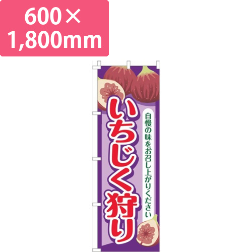 いちじく狩り紫画像