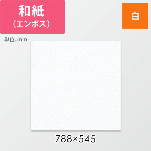 和紙 鳥の子 エンボス ＮＯ．１ シロ画像