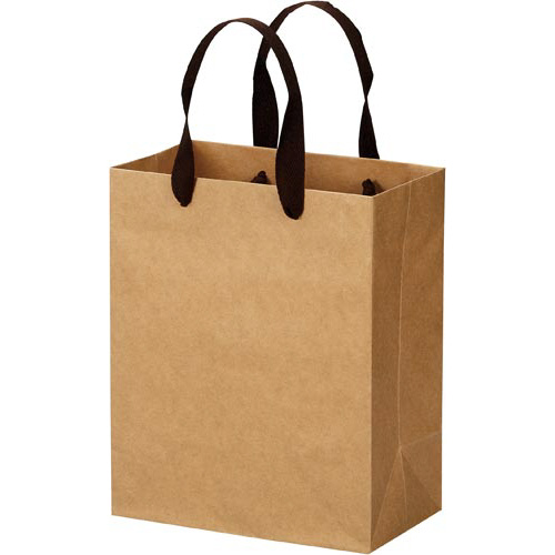 クラフトバッグ　平紐　Ｓ　１０枚画像