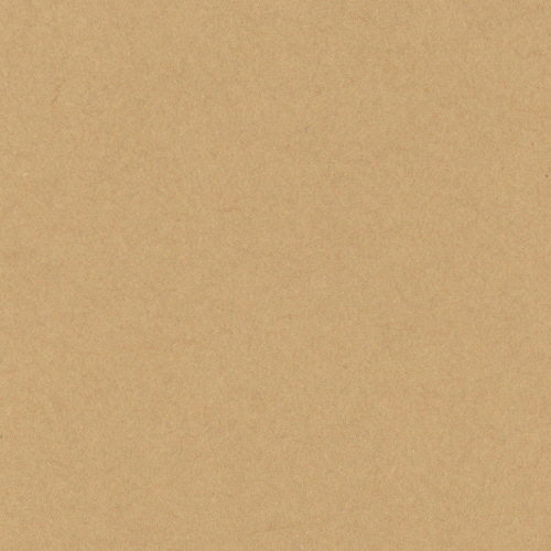 ﾆｭｰｶﾗｰR 八つ切 うすちゃ 1ﾊﾟｯｸ(100枚)画像