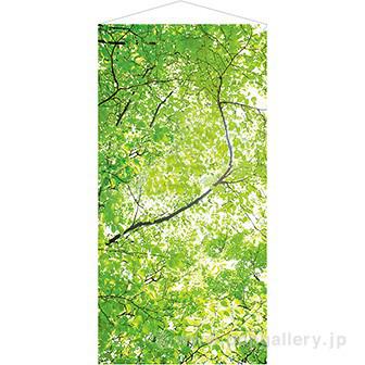 新緑若葉タペストリー（防炎加工）画像