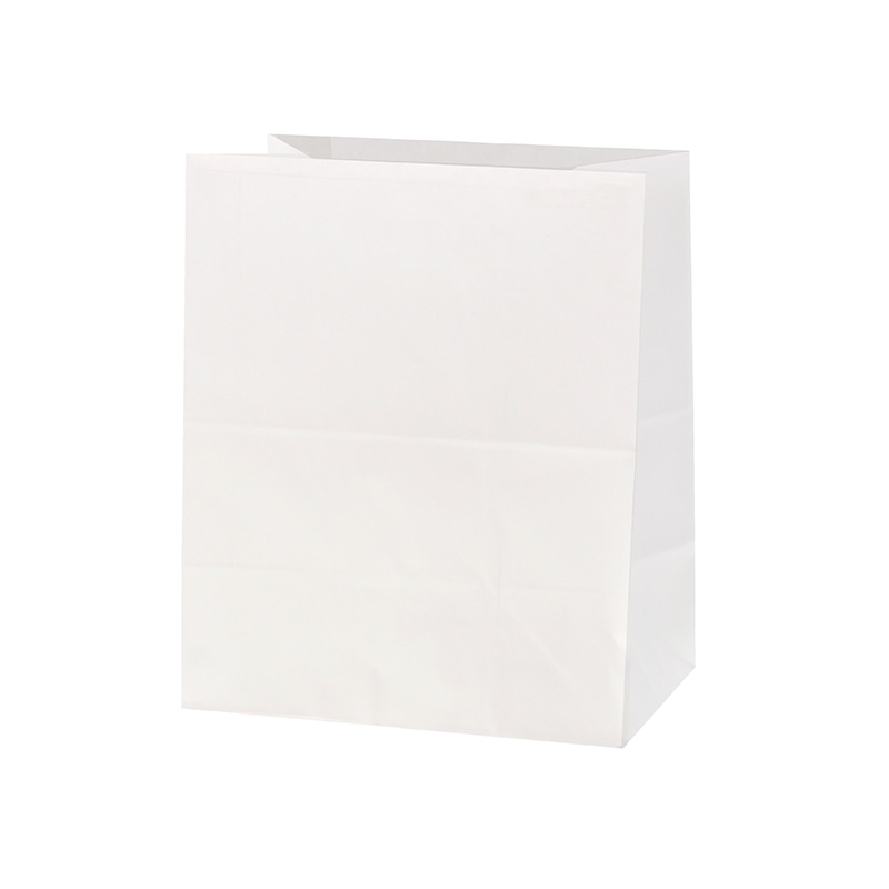 角底袋　２１－１　白無地画像