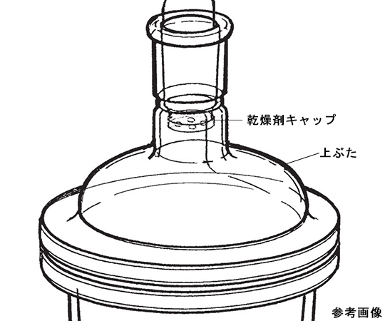 上ぶた　褐色