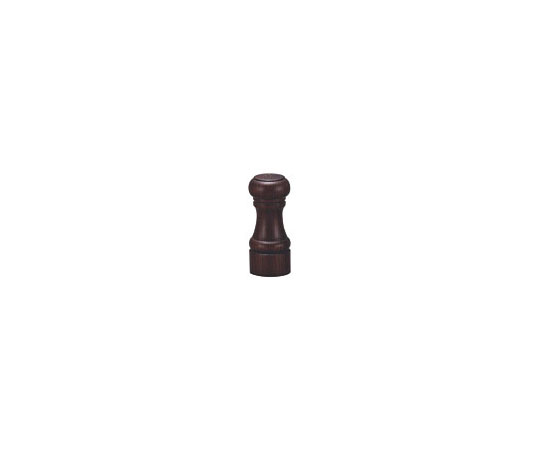 IKEDA ソルト画像