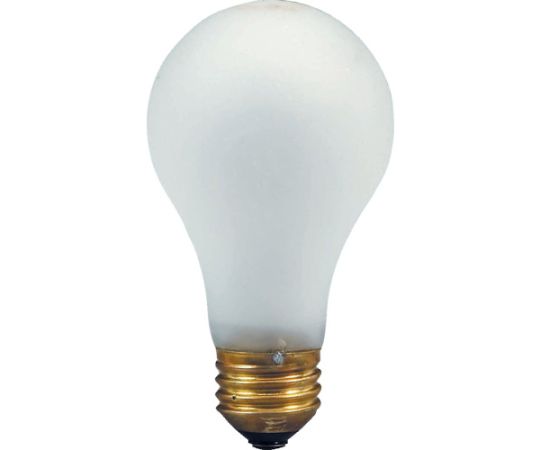 耐振震電球　100V　100W　（CM-G型ハンドランプ用）画像