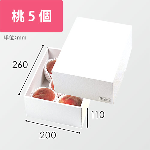 パール２４　ＦＳ画像