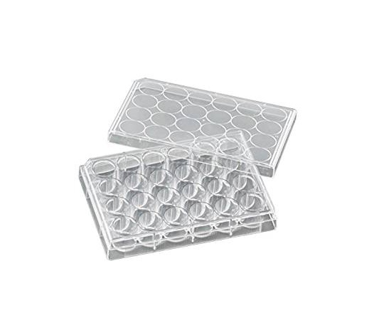 ビオラモ 細胞培養プレート 1箱（50個入）画像