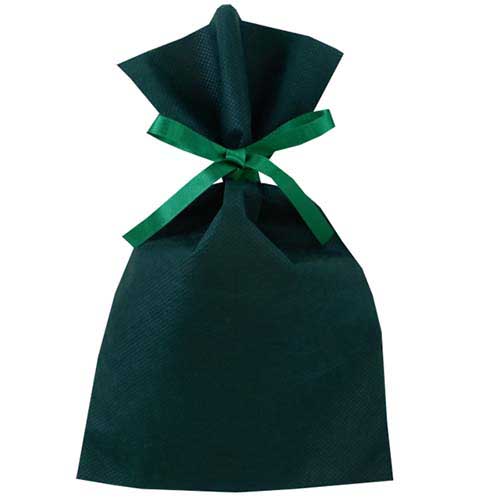 ソフトバッグベーシック2穴リボン巾着 S3 薄 グリーン画像