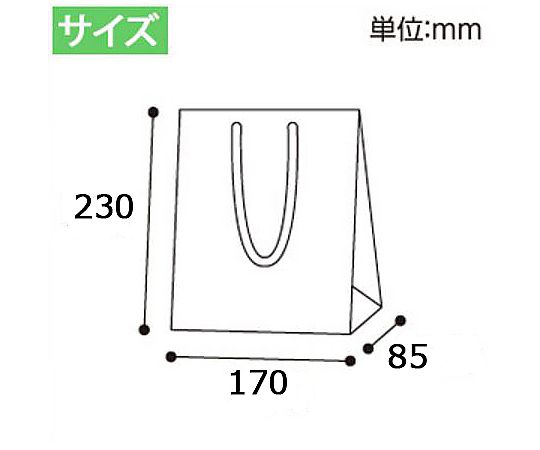 手提げ紙袋　ブライトバッグ　T-3　チョコブラウン（マットタイプ）　10枚 チョコブラウンのマットな手提げ紙袋が横から見える状態