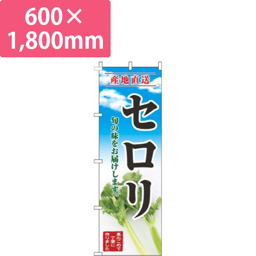 セロリ青空明画像