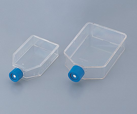 組織培養用フラスコ（ベントキャップ/スラントネック） 250mL 1箱（5本×12袋入）画像