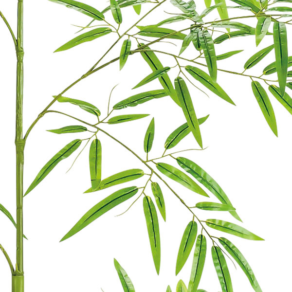 180cmバンブーツリー画像