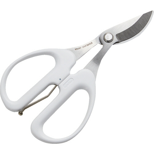 剪定ﾊｻﾐ ﾊﾞﾈ付き 1個画像