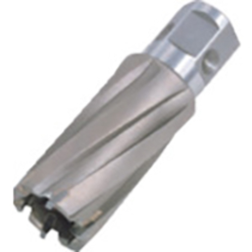 ｼﾞｪｯﾄﾌﾞﾛｰﾁ 13.5X20L 16392 1本画像