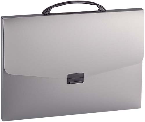 ナスカフレックス　Ａ３　シルバー画像