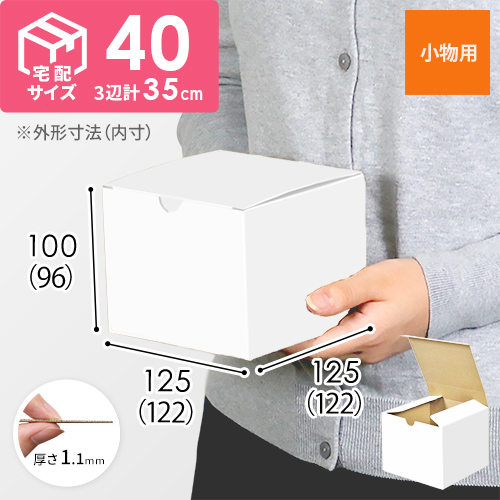 小物用ケース（白、深さ9.6cm）画像