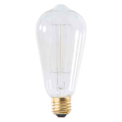 電球　エジソン球　L　E26　白熱電球画像