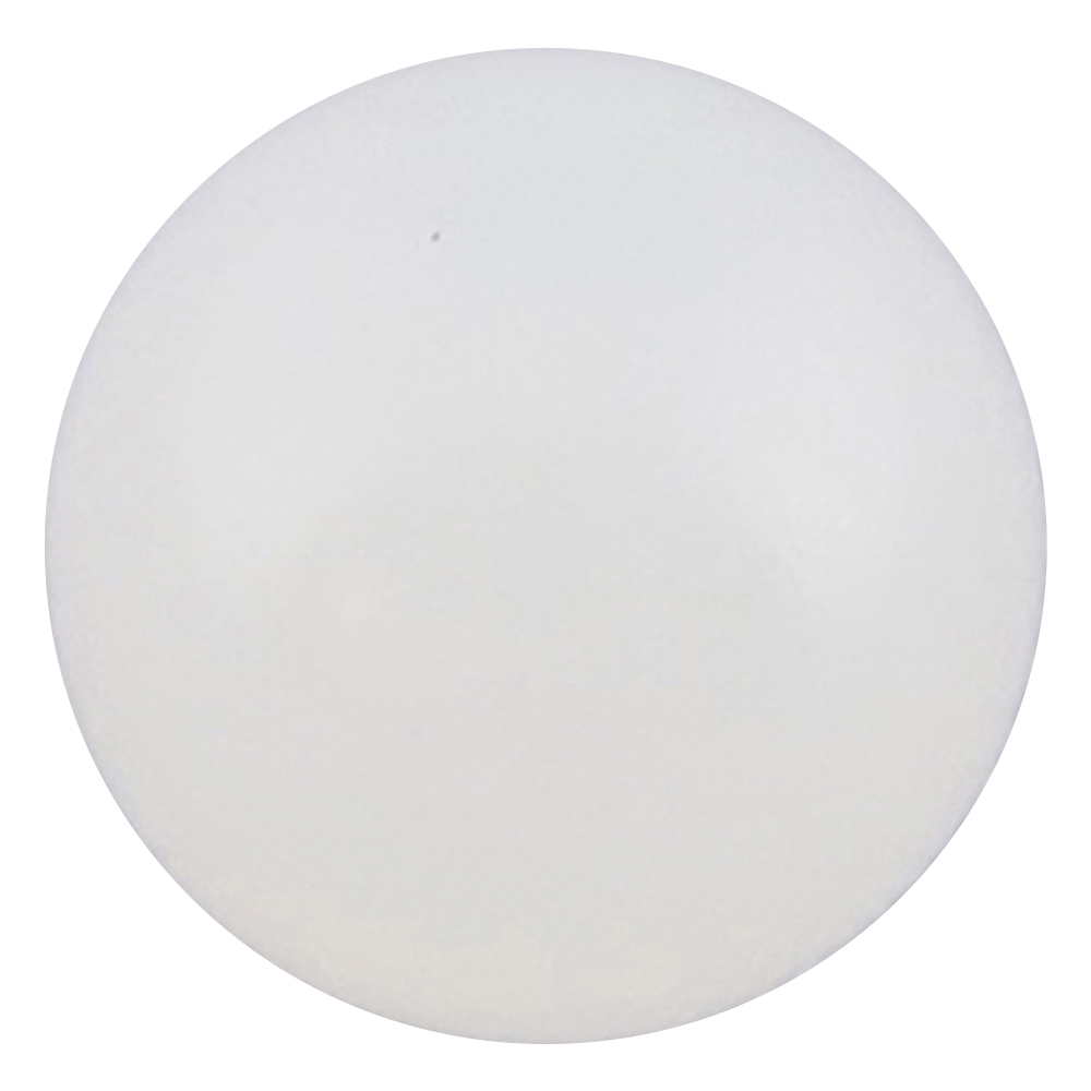 ナイロン球　φ5.6mm　100個入画像