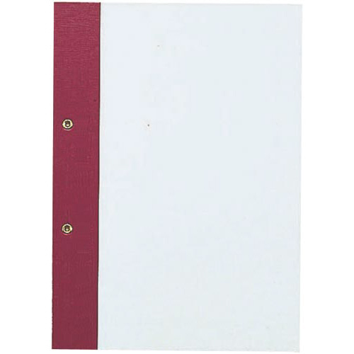 綴込表紙Ｄ・Ｂ５Ｓ・２穴　２枚組×１０冊画像