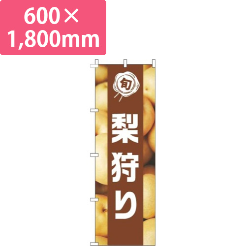 梨狩り写真茶色帯画像