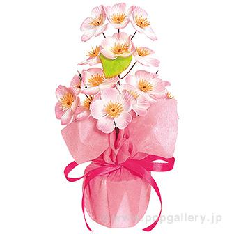 桜ラッピングポット画像