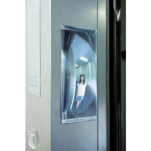 FFミラーEV85×205×2.1 1個