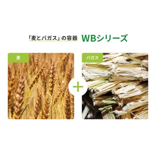 フルーツ容器 WB 16-11 パックスタイル 透明なフルーツ容器が整然と並ぶ、蓋がしっかり閉まった状態