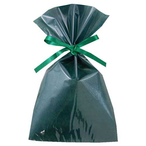 ソフトバッグクリア 2穴リボン巾着 S4 グリーン画像