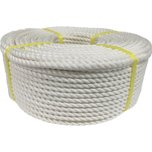 ﾛｰﾌﾟ ｸﾚﾓﾅﾛｰﾌﾟ巻物 9φ×100m 1個画像