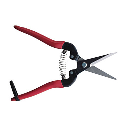 ｱﾙｽ 摘果鋏L 1個