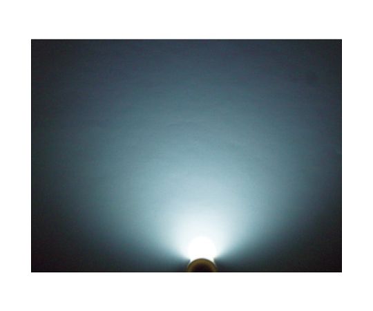 コードレスライトLEDセット 鮮やかな光を放つコードレスのLEDが展示されている様子