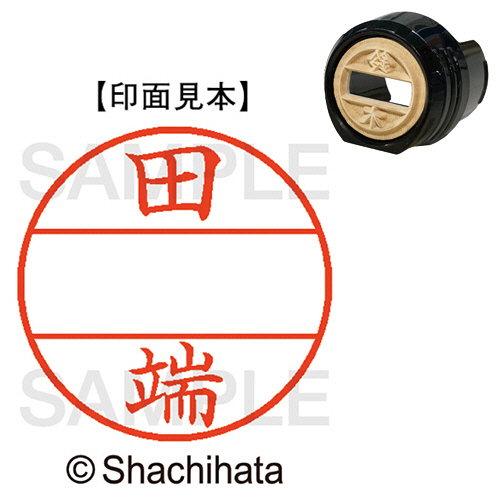 ﾃﾞｰﾀｰﾈｰﾑEX12号 ﾏｽﾀｰ部(印面) 既製 田端 1個画像