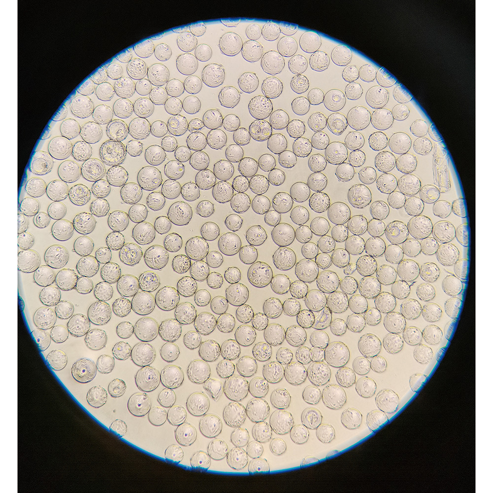 球体バイオキャリアー 25g入画像