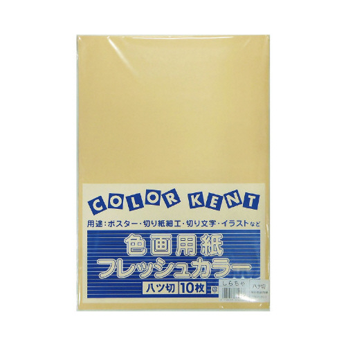 再生色画用紙　八切　しらちゃ　１０枚画像
