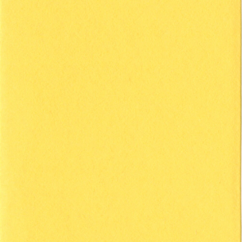 ﾆｭｰｶﾗｰR 八つ切 ﾚﾓﾝ 1ﾊﾟｯｸ(100枚)画像