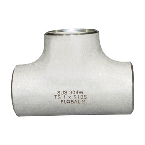 同径ﾁｰｽﾞ S10S 09100069 1個画像